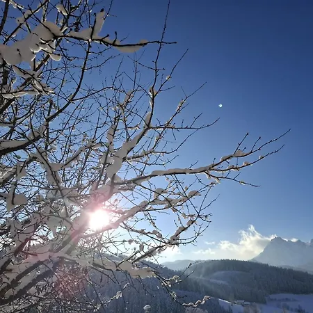Haus Bergheimat شقة