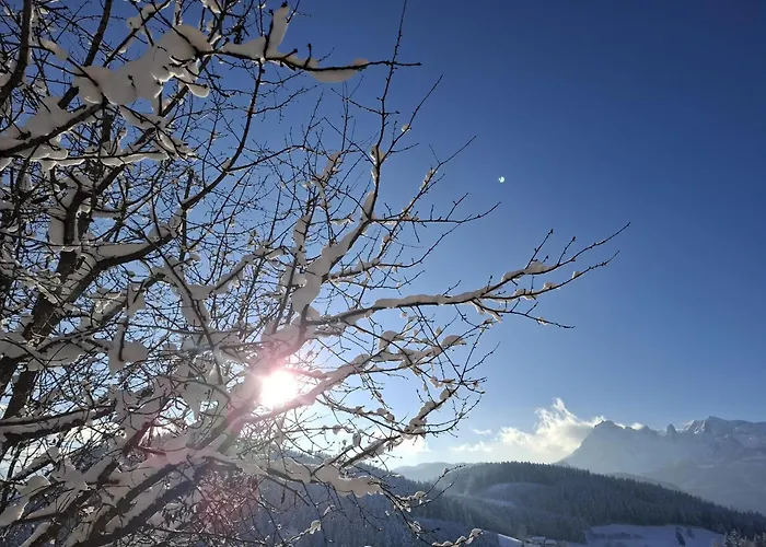 Haus Bergheimat شقة